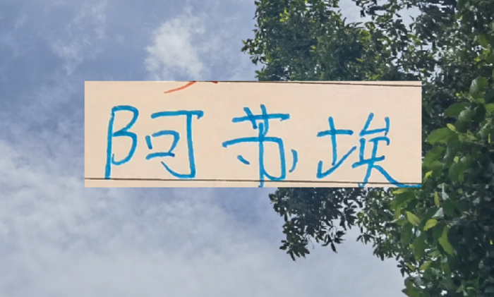 半岛体育-还差一个外援！到时候是阿苏埃出现 还是申花新的大鱼上岸？|上海申花|阿莱士-特谢拉-桑托斯|上海申花足球俱乐部|托尼·罗伯茨|马纳法_新浪体育_新浪新闻